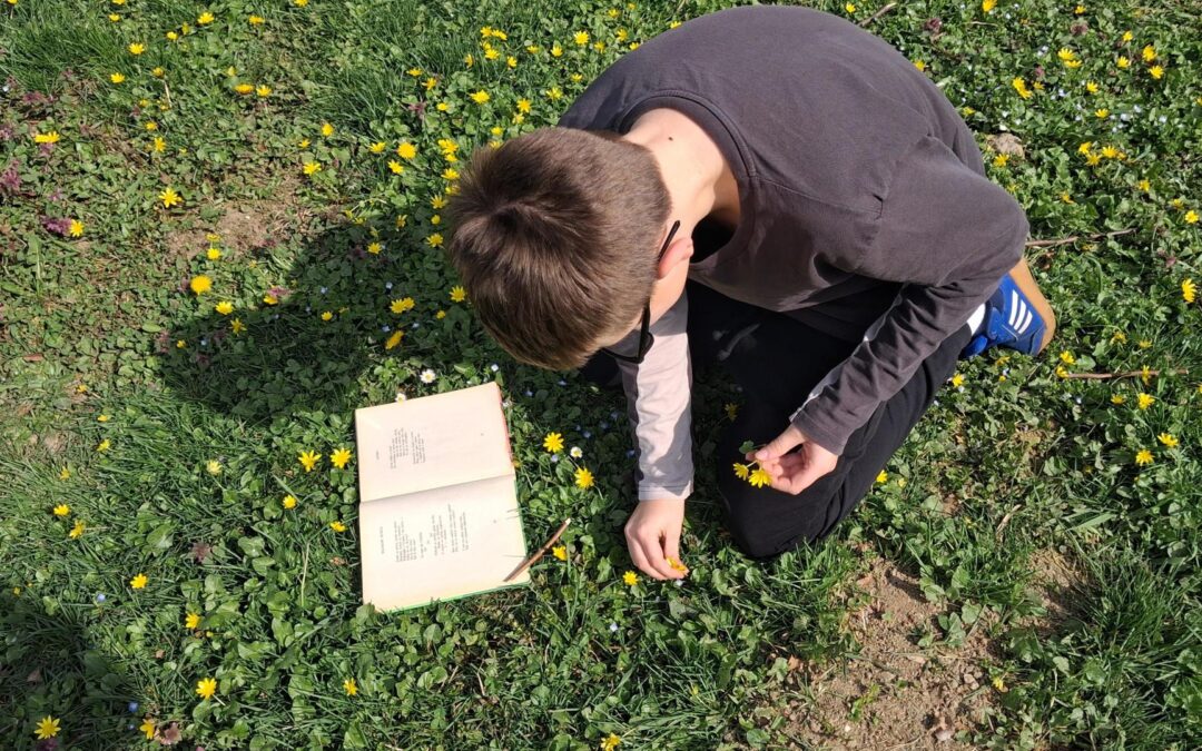 Proljeće sa stihovima iz školskog dvorišta 