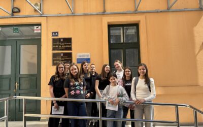 Fotosinteza – supermoć biljaka: znanstvena radionica u sklopu Festivala znanosti